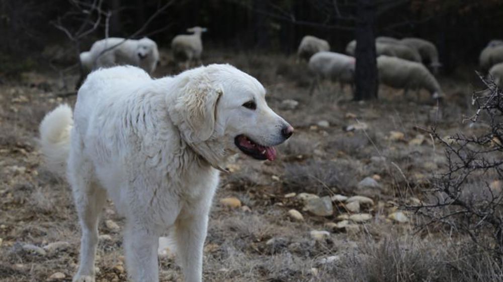 © M.-F. Malterre/GFA